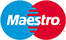 Maestro Debit Card